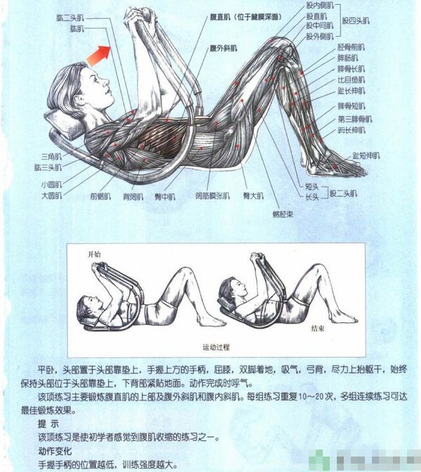 适合女性的仰卧起坐 图解14种女性仰卧起坐