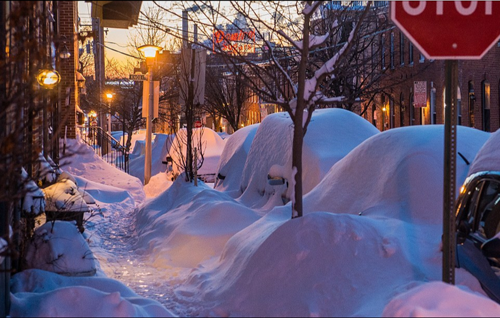 霸王级降雪洗礼美国东海岸 雪景如仙境(2)