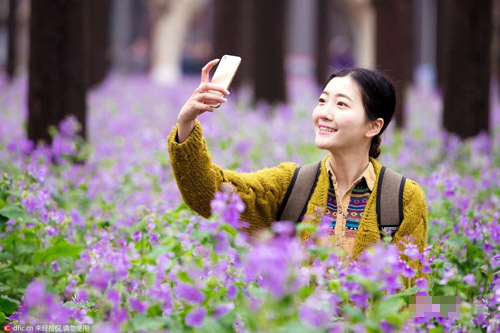 宅男福利！跟着校花去旅游 大学赏花撩妹攻略(2)