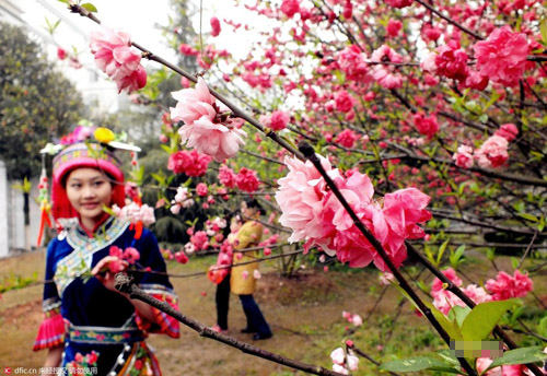 宅男福利！跟着校花去旅游 大学赏花撩妹攻略(2)