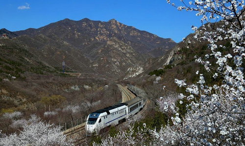 居庸关花海暂时封闭 发烧友曾为拍照逼停列车