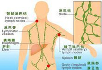 妙龄女孩患怪病：全身血肉模糊 一月暴瘦十斤(3)