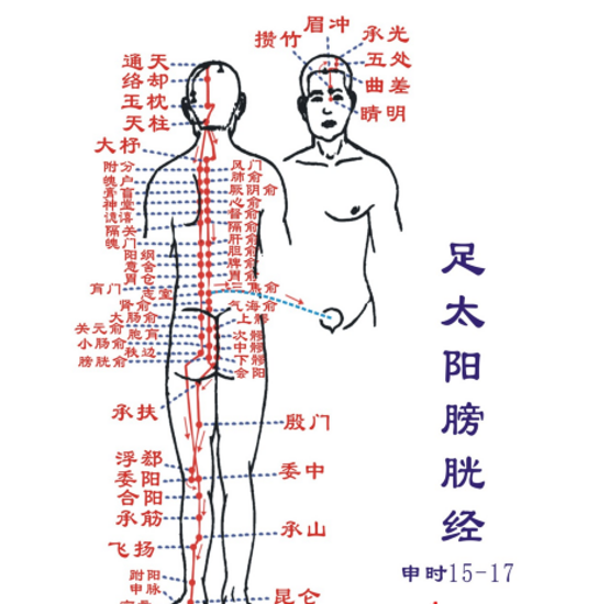 主要锻炼三焦经的动作 找对位置是关键