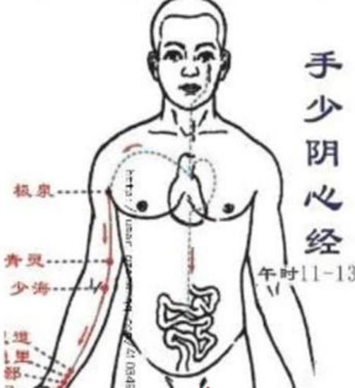 主要锻炼三焦经的动作 找对位置是关键