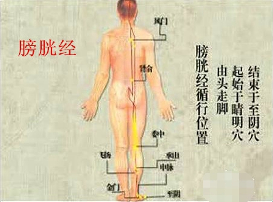 督脉和膀胱经在哪里 打通两经的简单方法