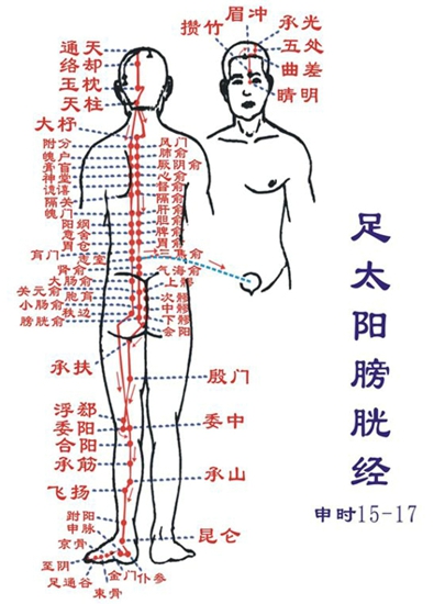 督脉和膀胱经在哪里 打通两经的简单方法