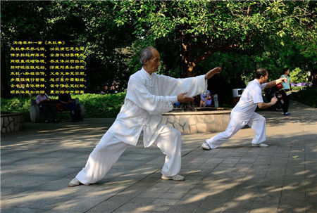 怎样练好太极拳 这样练赵堡太极拳的“松”