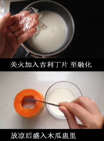 牛奶炖木瓜的做法 教你在家制作木瓜牛奶冻