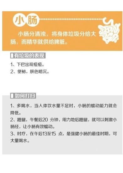 为什么白天老犯困 给你的身体来次大扫除