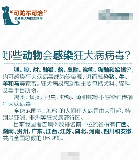 狂犬病为什么治不好 怎么防范狂犬病