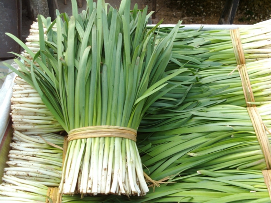 夏季如何防病  夏季必吃几样“抗菌菜”