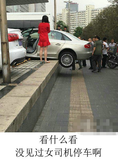 看什么看没见过女司机停车啊 这车主新东方出来的吗