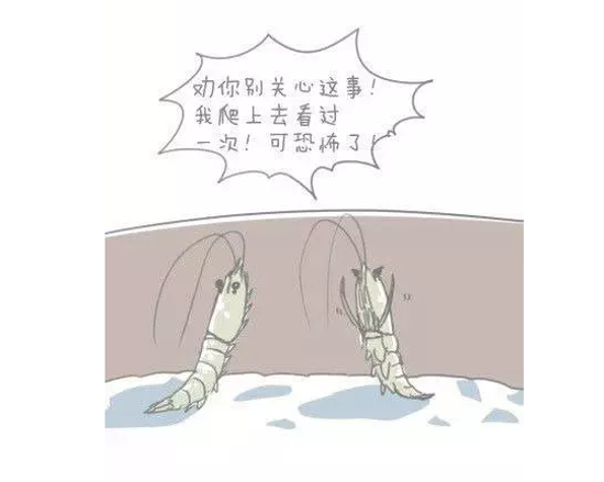 关于超市的搞笑漫画 笑爆了