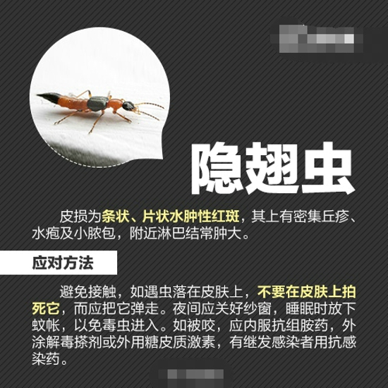 夏天怎么防虫 各种虫子的防治方法