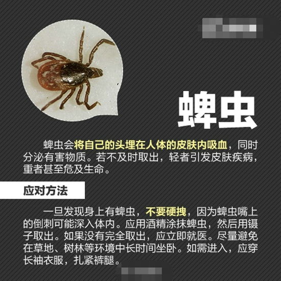 夏天怎么防虫 各种虫子的防治方法