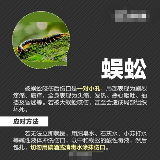 各种防虫的方法 最全防虫手册在这里