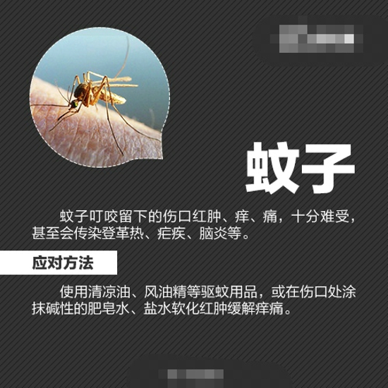 各种防虫的方法 最全防虫手册在这里