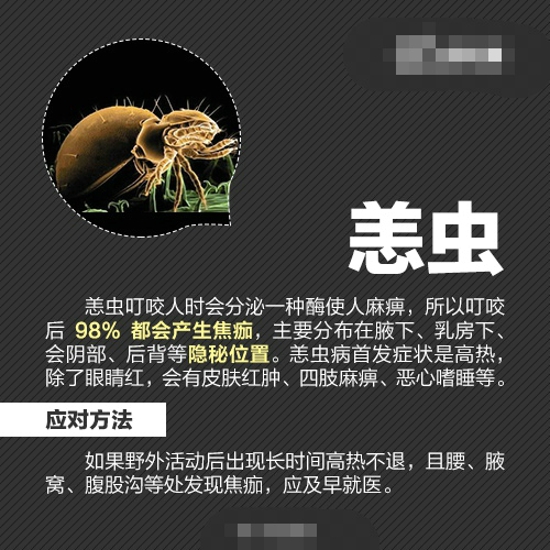 各种防虫的方法 最全防虫手册在这里