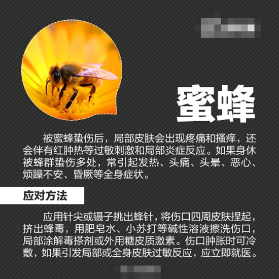 各种防虫的方法 最全防虫手册在这里