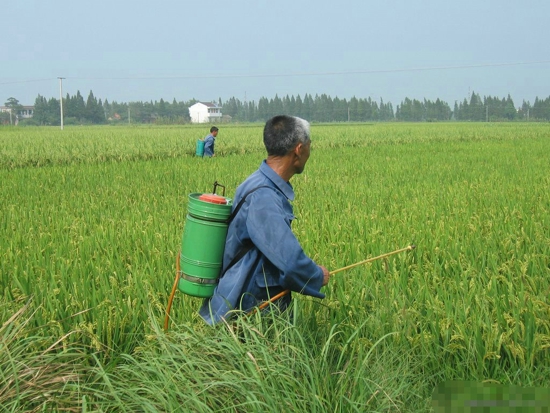 用敌敌畏除虱后疑似有机磷中毒 中毒急救治疗