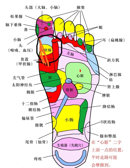 按摩脚的方法 快给你的脚做做操吧