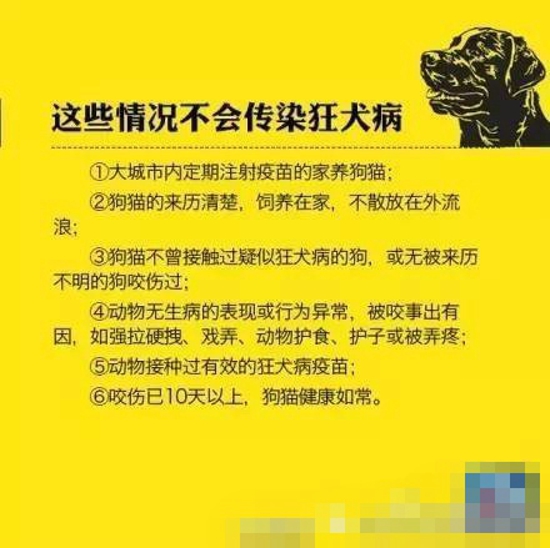 狂犬病防治知识 科学对待不让恐惧蔓延