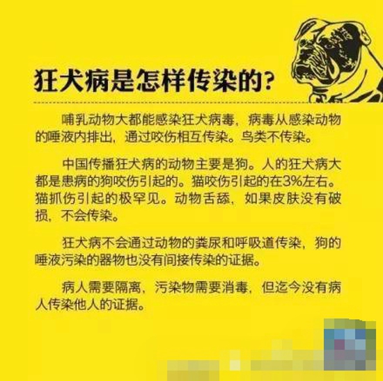 狂犬病防治知识 科学对待不让恐惧蔓延