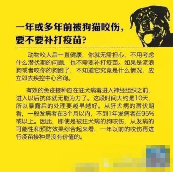 狂犬病防治知识 科学对待不让恐惧蔓延