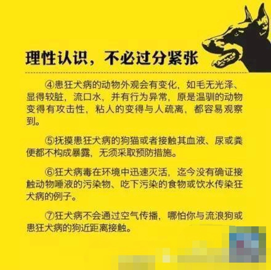 狂犬病防治知识 科学对待不让恐惧蔓延