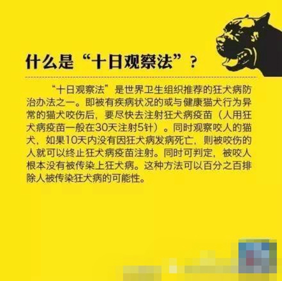 狂犬病防治知识 科学对待不让恐惧蔓延