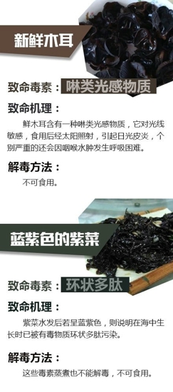 未煮熟食物有什么危害 十种未煮熟的食物赛砒霜