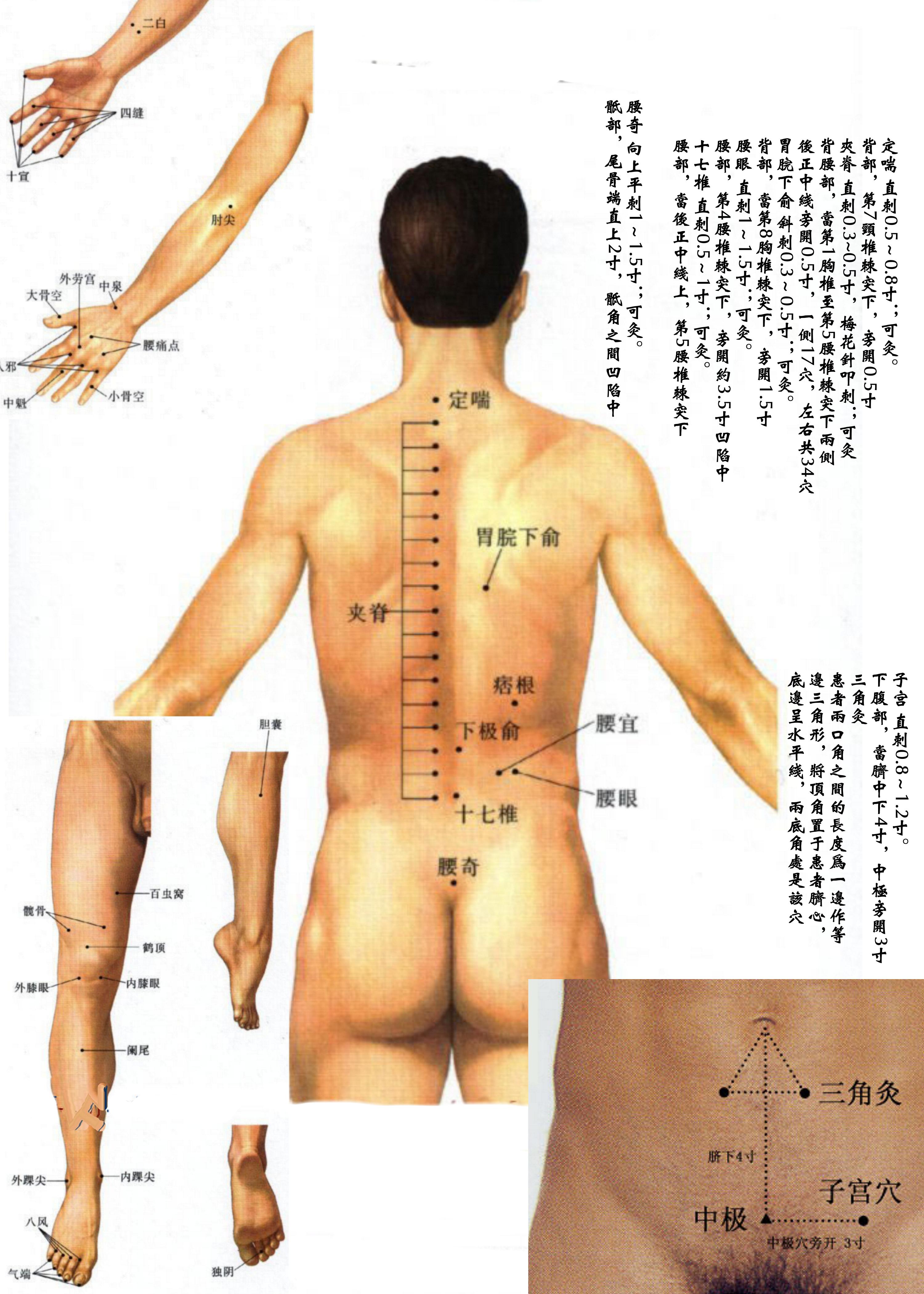 针灸经脉穴位图则之四十三（经外奇穴总图则）