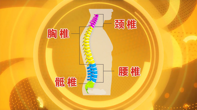 2016年12月5日播出《脊椎也要分段养护》