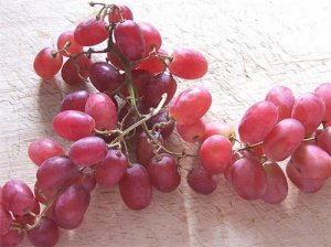 来月经可以吃葡萄吗 葡萄和提子哪个营养高