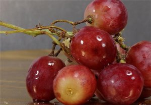 葡萄是酸性还是碱性 糖尿病能吃葡萄吗