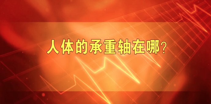 2017年5月8日播出《修复人体的“承重轴”》