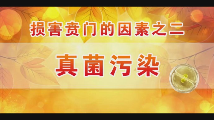 2017年9月7日播出《护好身体“连接线”》