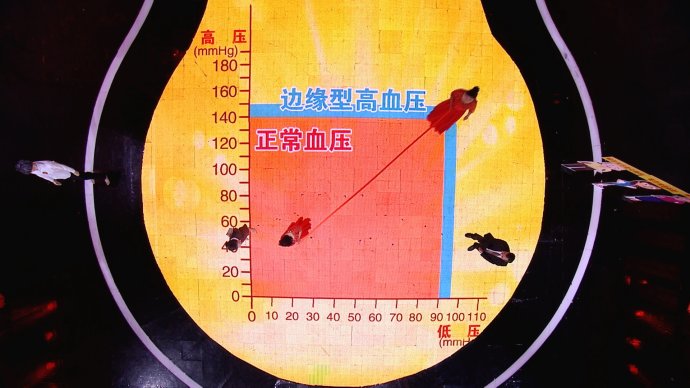 2017年11月4日播出《警惕撕出来的血管危机》