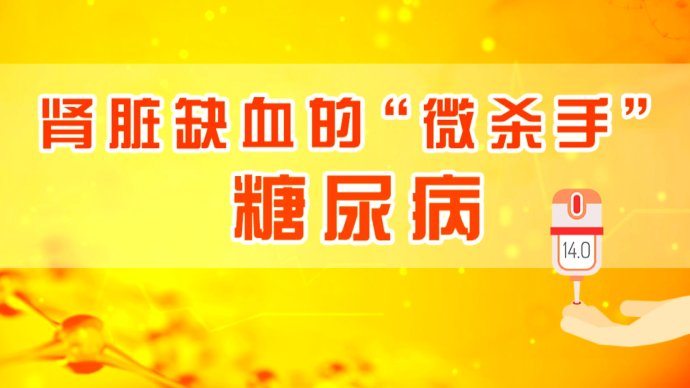 2018年6月13日播出《肾脏断粮的致命危机》