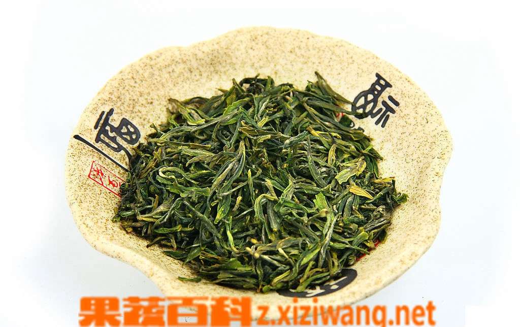 果蔬百科崂山绿茶特点