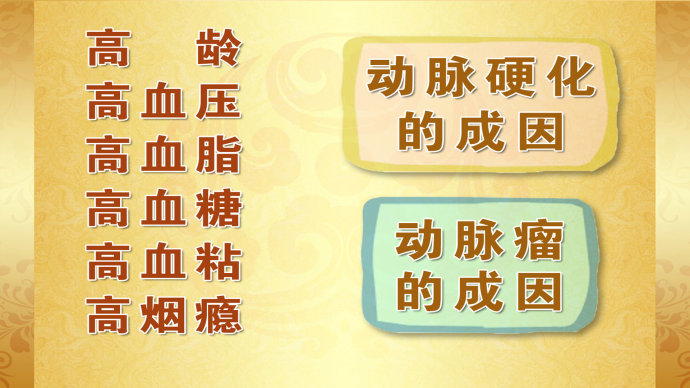 2015年2月3日播出 <wbr>《是谁堵住了“生命通道”—1》