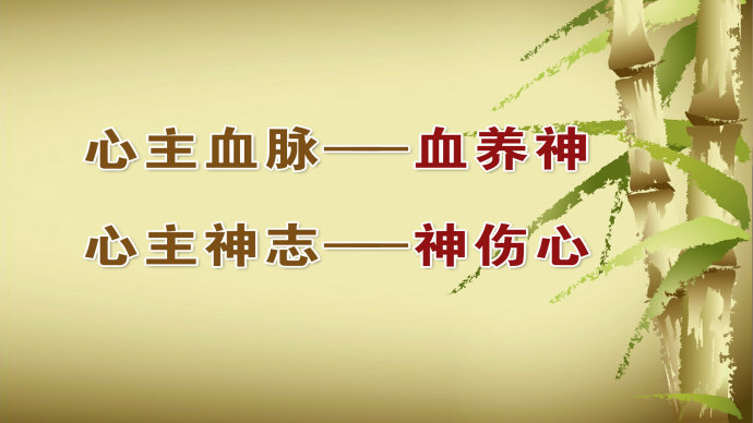 2015年4月13日播出《“七情”致病亦治病—1》