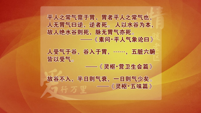 2015年9月4日播出《情暖老区 走进红安—固胃气》