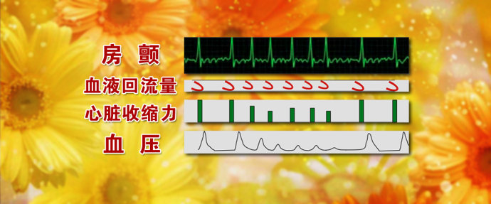 2015年12月15日播出《消除心内“无声伤害”》