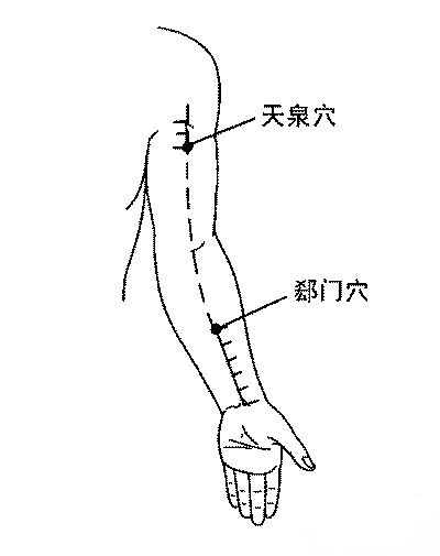 天泉穴