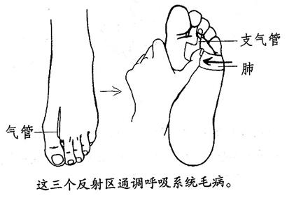 如何止血?止血应指掐哪些穴位呢?