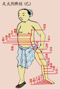 养生护五脏的五大穴位按摩方法