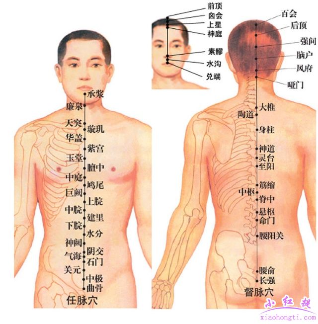 养生护五脏的五大穴位按摩方法