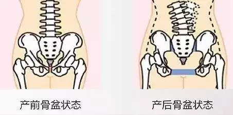 年纪增长都会导致松弛