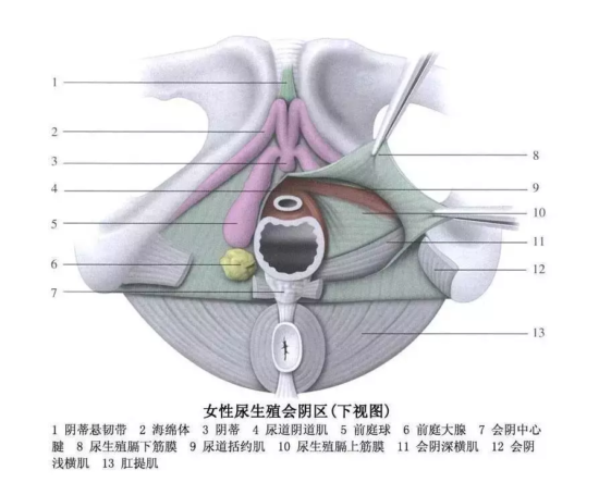 我的高潮怎么和别人不一样